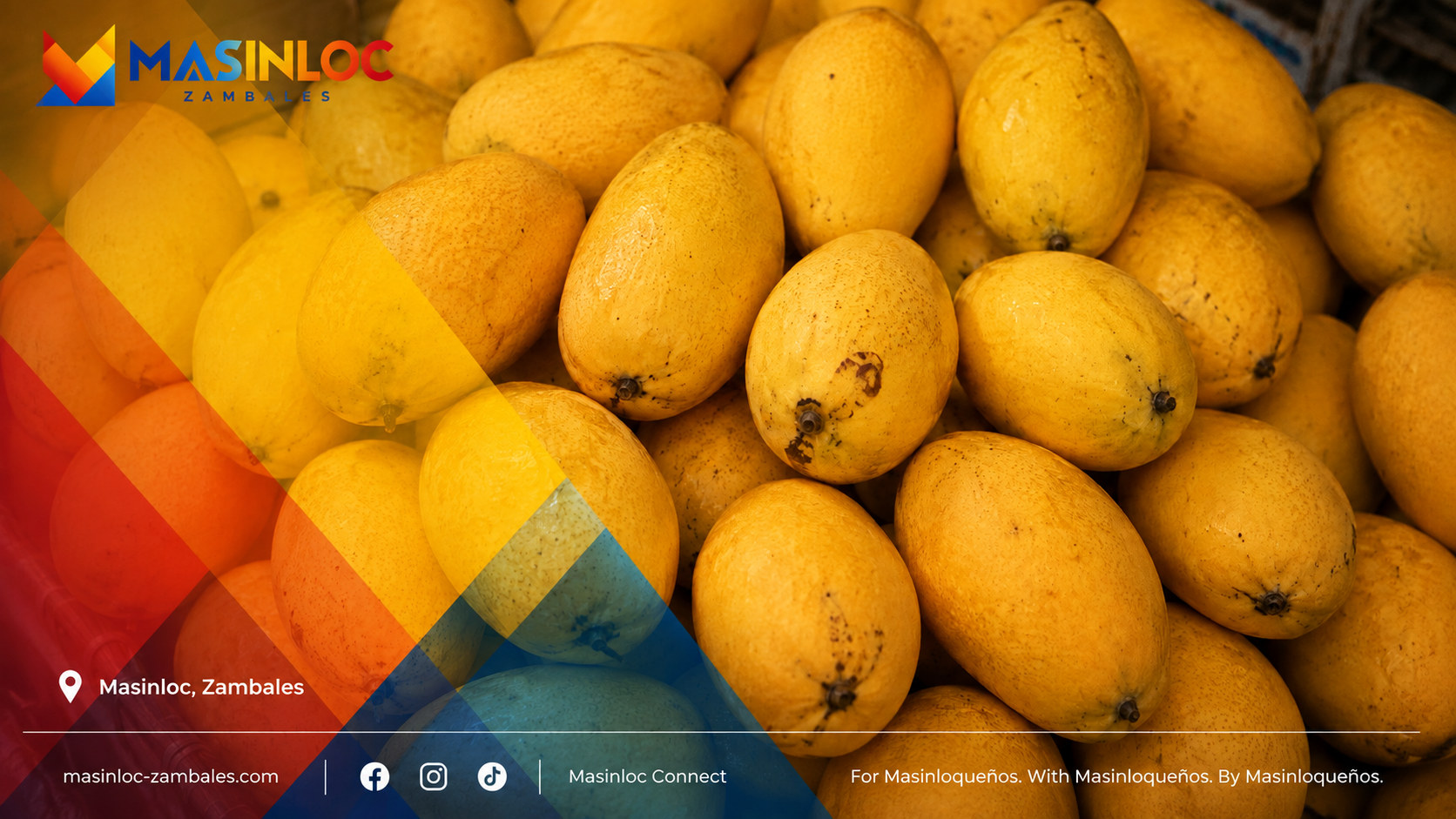 Ripe mangoes packed in crates, photographed in Masinloc, Zambales
